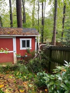 It was a small blessing that the branch did not hit the shed